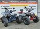 Квадроцикл Raptor 150 Titan Gray-Red