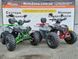 Квадроцикл Raptor 150 Titan Gray-Red