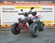 Квадроцикл Raptor 150 Titan Gray-Red