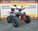 Квадроцикл Raptor 150 Titan Gray-Red